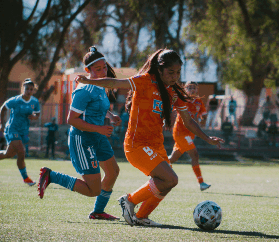 Can We Spot ACL Injuries Before They Happen?